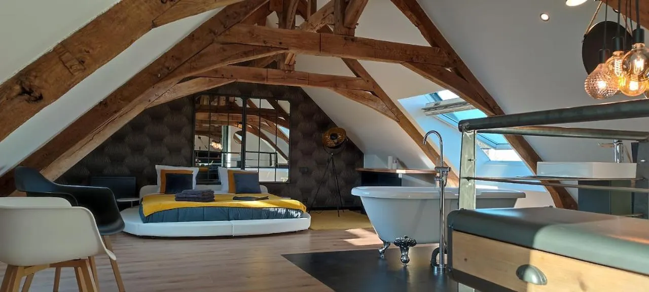 Apparthotel loft Martigné-Ferchaud Appartement